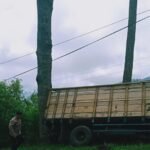 IMG 20240222 WA0024