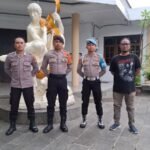 IMG 20250601 WA0111