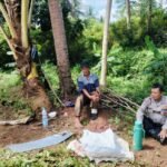IMG 20250601 WA0112