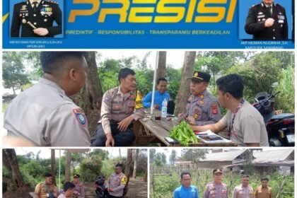 IMG 20250602 WA0138