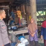 IMG 20250603 WA0079